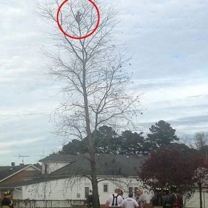 6qͯ15ט(sh) ȆTؙC(j)