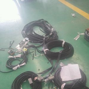 2018010252  oRDs3Tһ185