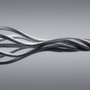 СC䓽zKҪpF(xin)Ġr